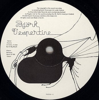 Vinyl Record Björk - Vespertine (180g) (2 LP) - 4