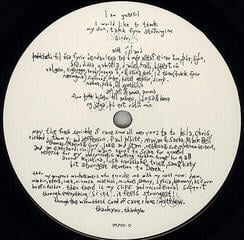 Δίσκος LP Björk - Vespertine (180g) (2 LP) - 5