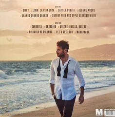 Vinüülplaat Hauser - The Player (Gold Coloured) (LP) - 6