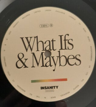 Disque vinyle Tom Grennan - What Ifs & Maybes (LP) - 3
