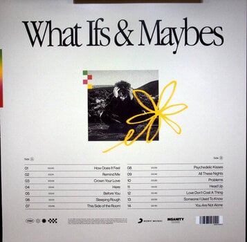 Vinyl Record Tom Grennan - What Ifs & Maybes (LP) - 4