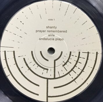 Schallplatte Slowdive - Everything is Alive (Clear Coloured) (LP) - 2