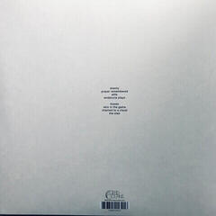 LP platňa Slowdive - Everything is Alive (Clear Coloured) (LP) - 4