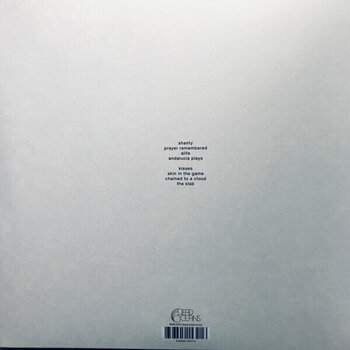 Δίσκος LP Slowdive - Everything is Alive (Clear Coloured) (LP) - 5