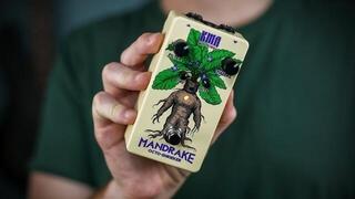Guitar Effect KMA Machines Mandrake Octo-Shrieker Guitar Effect - 5