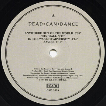 Disco de vinil Dead Can Dance - Within the Realm of a Dying Sun (Reissue) (LP) - 2