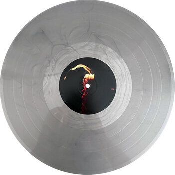 Грамофонна плоча Queens Of The Stone Age - In Times New Roman... (Silver Coloured) (2 LP) - 2