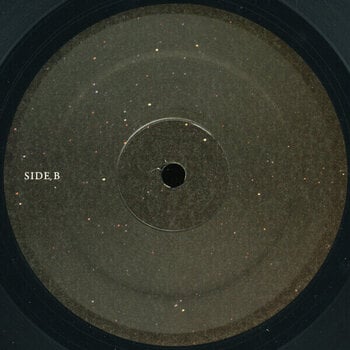 Vinyl Record Pheobe Bridgers - Punisher (LP) - 3