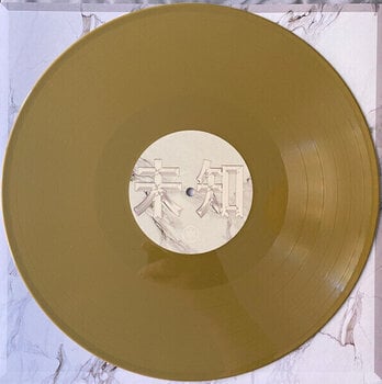 Vinylskiva Yung Lean - Unknown Death 2002 (Reissue) (Gold Coloured) (LP) - 2