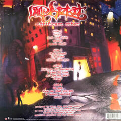 Schallplatte Limp Bizkit - Significant Other (2LP) - 6