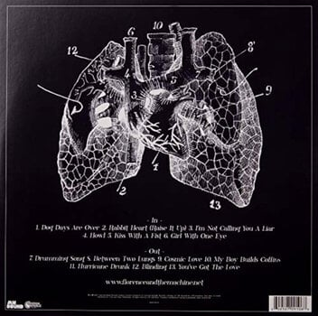 Hanglemez Florence and the Machine - Lungs (Gatefold Sleeve) (LP) - 2