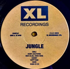 Δίσκος LP Jungle - For Ever (LP) - 2