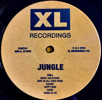 Vinyylilevy Jungle - For Ever (LP) - 2