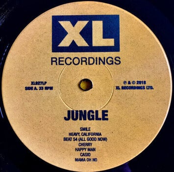 Vinylskiva Jungle - For Ever (LP) - 2