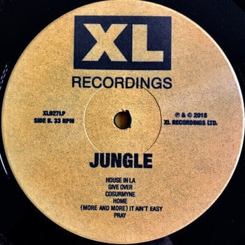 Грамофонна плоча Jungle - For Ever (LP) - 3