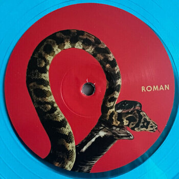 Disque vinyle Queens Of The Stone Age - In Times New Roman... (Blue Transparent Coloured) (2 LP) - 6