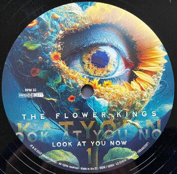 Vinyl Record The Flower Kings - Look At You Now (2 LP) - 2