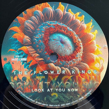 Vinyylilevy The Flower Kings - Look At You Now (2 LP) - 3