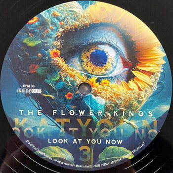 LP The Flower Kings - Look At You Now (2 LP) - 4