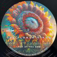 Vinylplade The Flower Kings - Look At You Now (2 LP) - 4