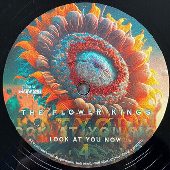 Δίσκος LP The Flower Kings - Look At You Now (2 LP) - 5