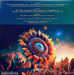 Vinylplade The Flower Kings - Look At You Now (2 LP) - 5