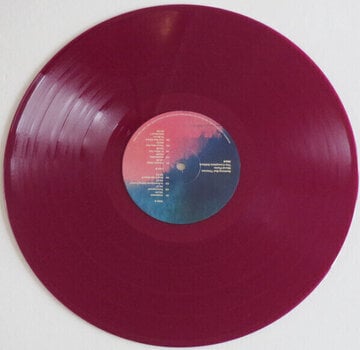 Disque vinyle Nothing But Thieves - Moral Panic (The Complete Edition) (Transparent Plum Coloured) (2 LP) - 2