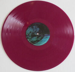 Vinyl Record Nothing But Thieves - Moral Panic (The Complete Edition) (Transparent Plum Coloured) (2 LP) - 3