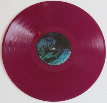 LP deska Nothing But Thieves - Moral Panic (The Complete Edition) (Transparent Plum Coloured) (2 LP) - 3