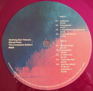 Disco de vinil Nothing But Thieves - Moral Panic (The Complete Edition) (Transparent Plum Coloured) (2 LP) - 4