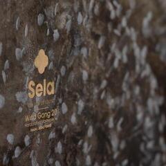 Gong Sela Wind Dark Moon Gong 20" - 7