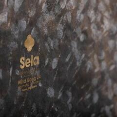 Gong Sela Wind Dark Moon Gong 24" - 7