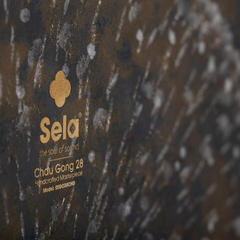 Gong Sela Chau Dark Moon Gong 28" - 7