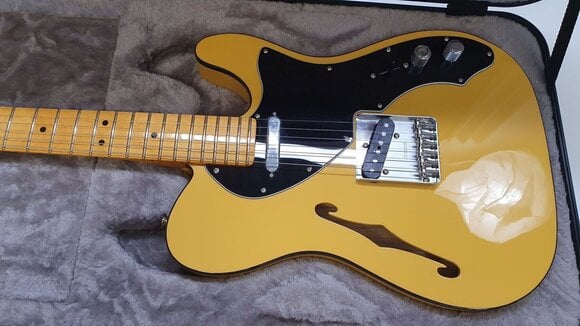 Elektromos gitár Fender Britt Daniel Tele Thinline MN (Használt ) - 2