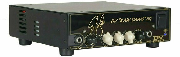 Hybrid Amplifier DV Mark DV Raw Dawg EG - 3