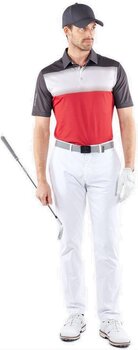 Polo majice Galvin Green Mo Mens Breathable Short Sleeve Shirt Red/White/Black M - 7