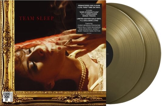Disc de vinil Team Sleep - Team Sleep (Rsd 2024) (Gold Coloured) (2 LP) - 2