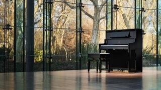 Digitale piano Roland LX-5 Digitale piano Charcoal Black - 6