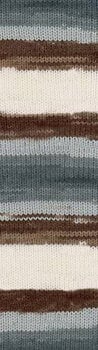 Knitting Yarn Alize Burcum Batik 5742 - 2