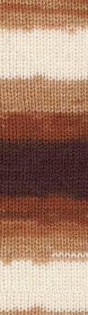 Knitting Yarn Alize Burcum Batik 2626 - 2