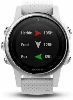 Smartwatch Garmin fenix 5S Silver/White - 3