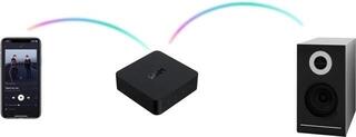 HiFi-Network-Player Wiim Pro Plus HiFi-Network-Player - 3