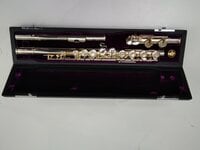 Trevor James 31PF-E Privilege Concert flute