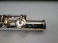 Trevor James 31PF-E Privilege Concert flute