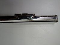 Trevor James 31PF-E Privilege Concert flute