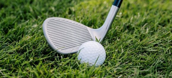 Golfschläger - Wedge Cleveland Smart Sole Full Face Tour Satin Wedge RH 42 Graphite Ladies - 11