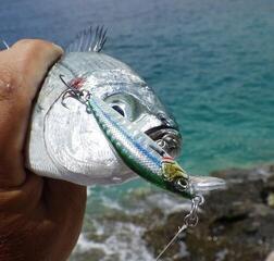 Vobler Savage Gear Gravity Minnow Sparky 5 cm 8 g Vobler - 1
