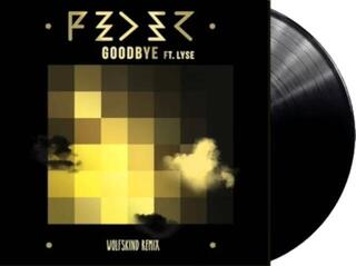 Vinyl Record Feeder - Goodbye Feat. Lyse (Curacao Coloured) (RSD 2024) (12" Vinyl) - 1