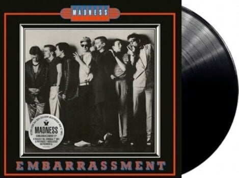 Vinyl Record Madness - Embarrassment (RSD 2024) (12" Vinyl) - 2