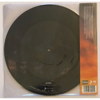 Vinyl Record James Arthur - It'll All Make Sense In The End (Picture Disc) (2 LP) - 2